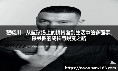 今年会手机最新版本